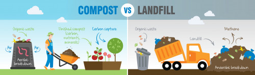 Compost Vs Landfill