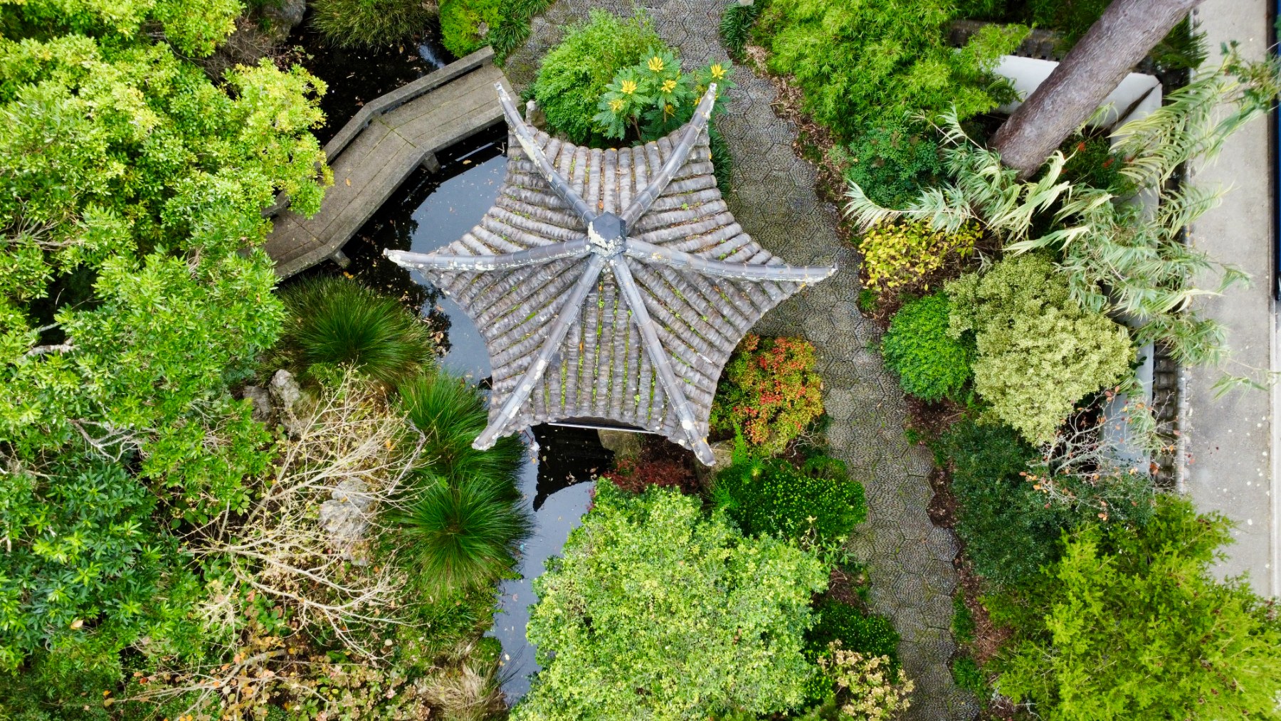 Picture of Huangshi Chinese Garden