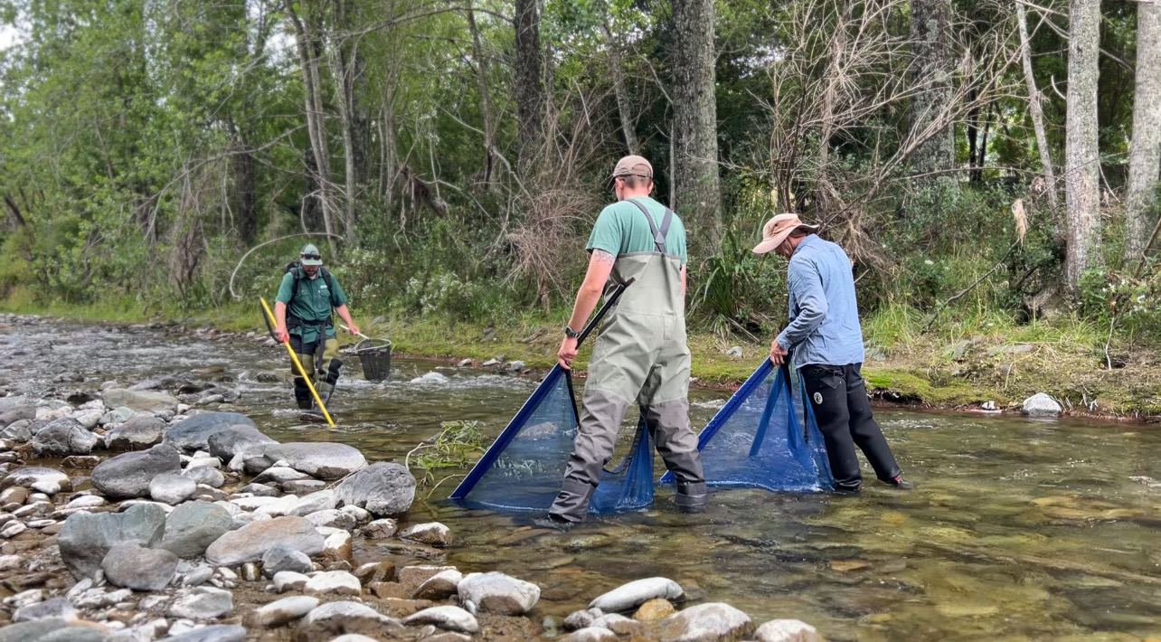 Maitai Bioblitz takes place