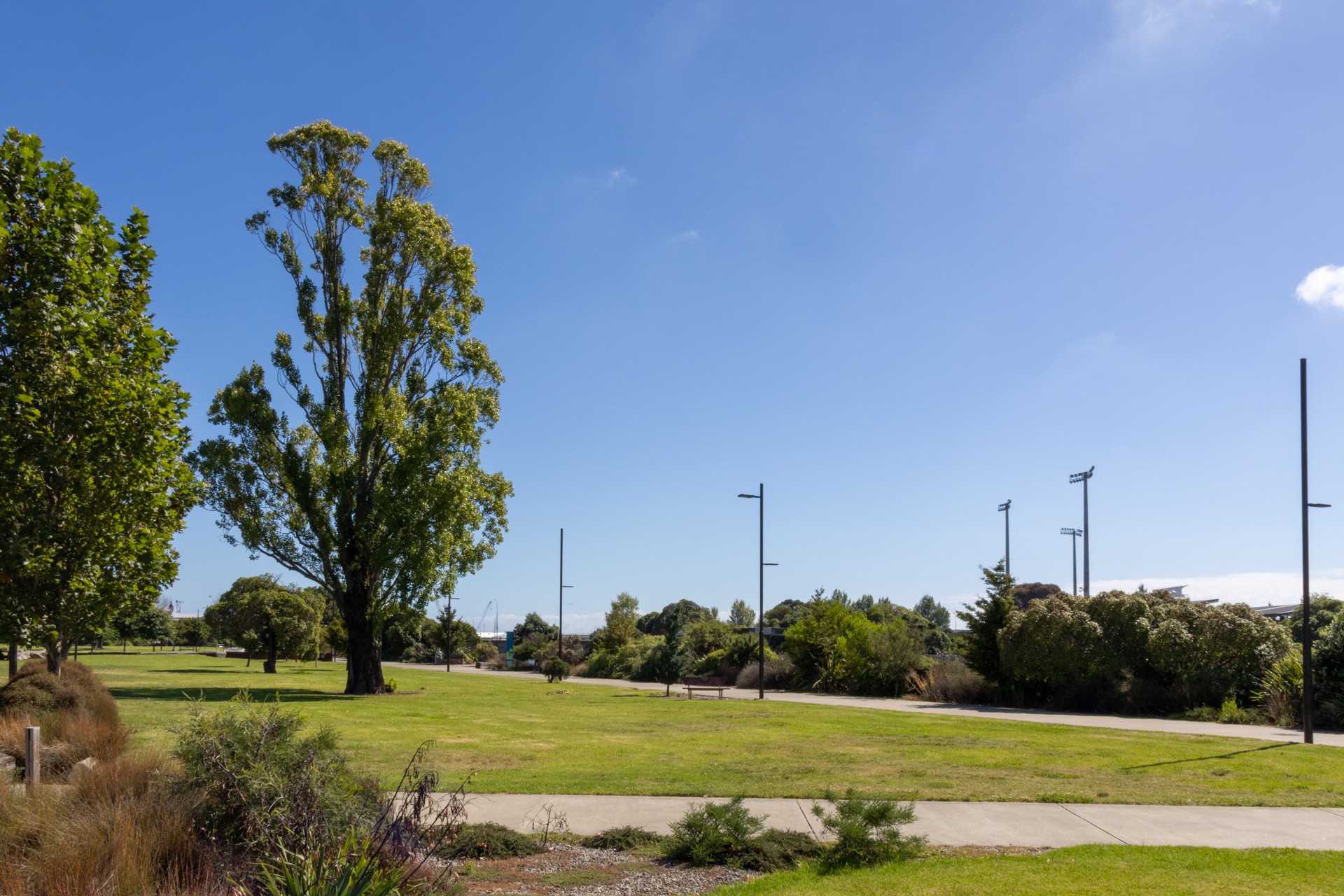 Location of new playspace at Rutherford Park